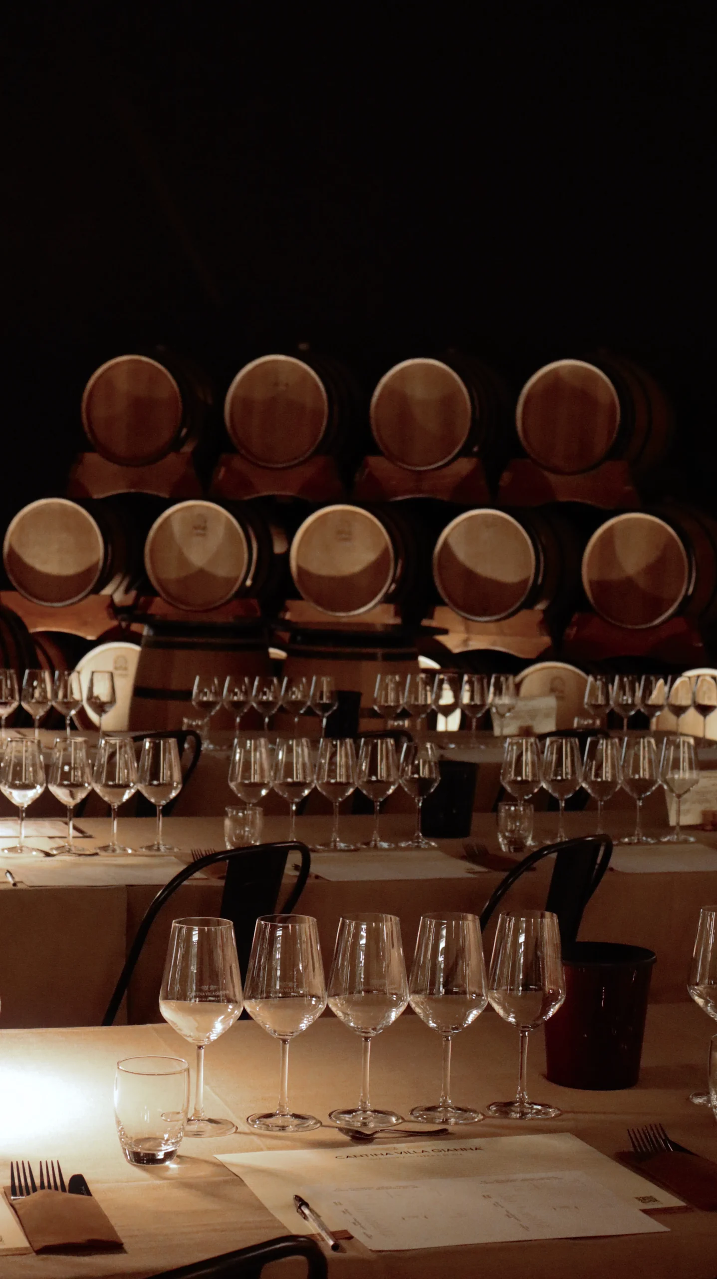 Degustazione in barricaia
