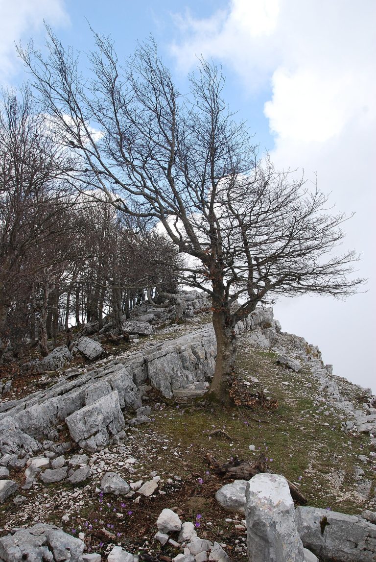 Monte Semprevisa